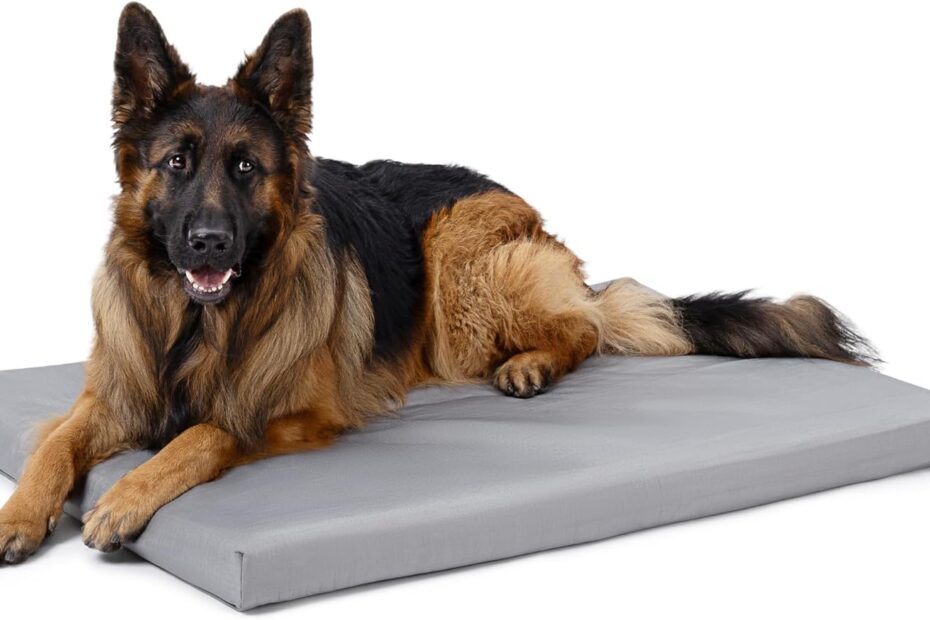 Ultimate Comfort: Cybarmour Indestructible Dog Bed Review for Tough Chewers!
