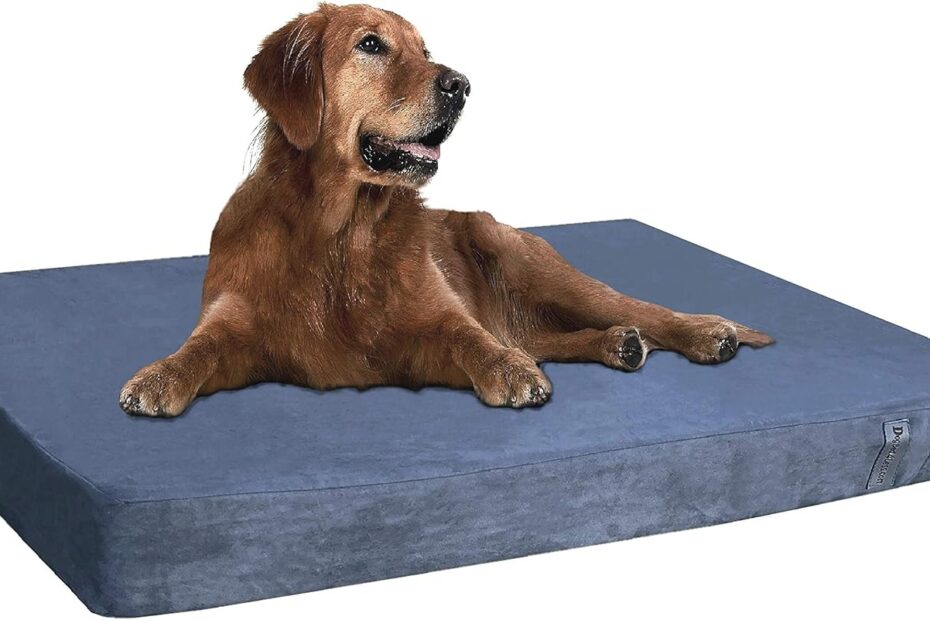 Ultimate Comfort: Dogbed4less Orthopedic Gel Memory Foam Pet Bed Review