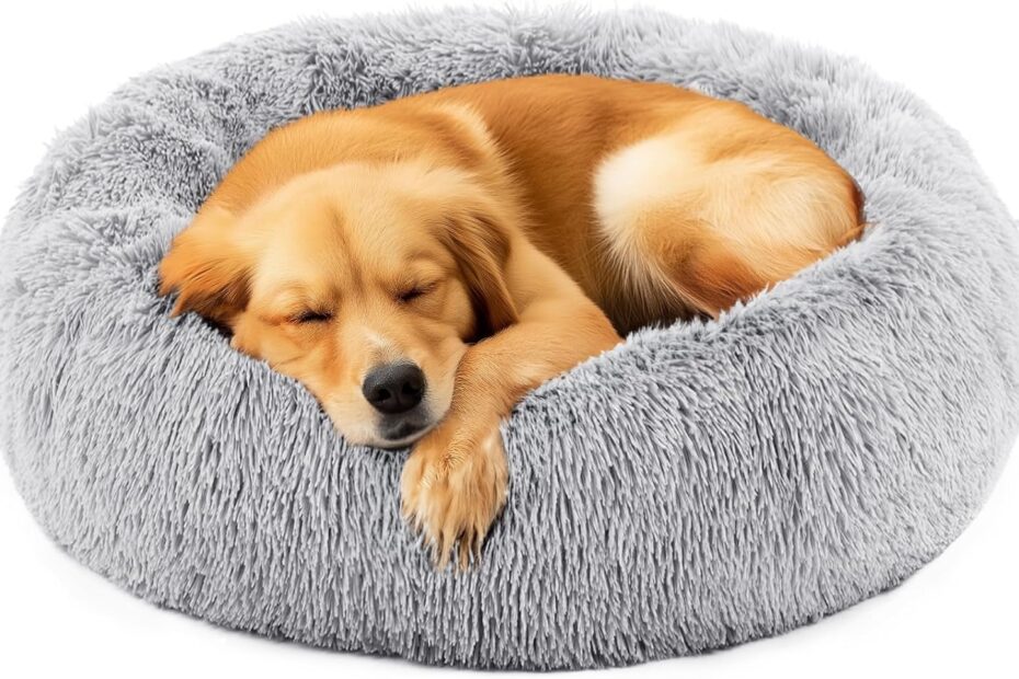 Ultimate Comfort: DUMOS Donut Dog Bed Review for Happy Pups!