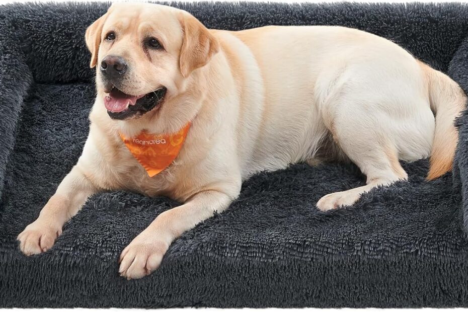 Ultimate Comfort: Feandrea Orthopaedic Dog Bed Review for Your Furry Friend