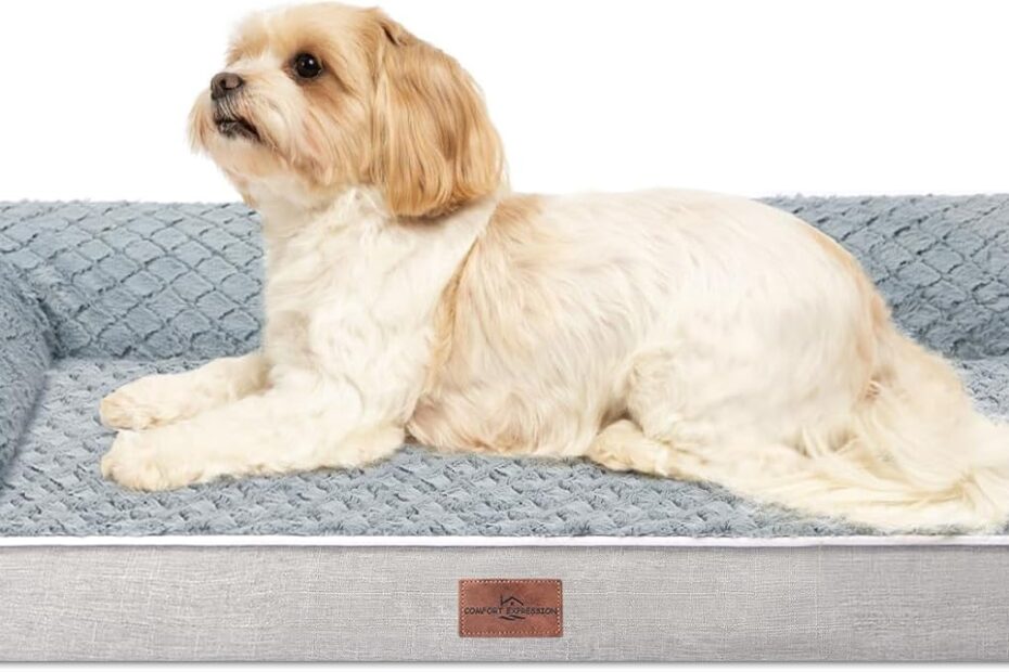 Ultimate Comfort for Medium Dogs: Review of the Orthopedic Waterproof Dog Bed