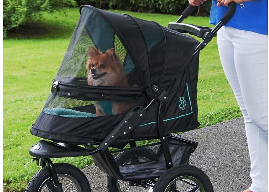 Ultimate Comfort for Pets: Review of the Pet Gear No-Zip NV Stroller