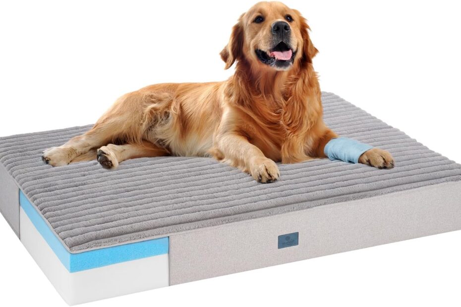 Ultimate Comfort for Senior Dogs: Veehoo Orthopedic Memory Foam Dog Bed Review
