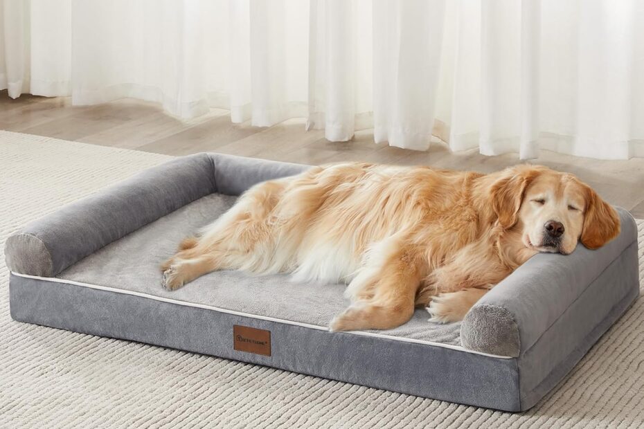 Ultimate Comfort for Your Big Buddy: BFPETHOME Orthopedic Dog Bed Reviewed!