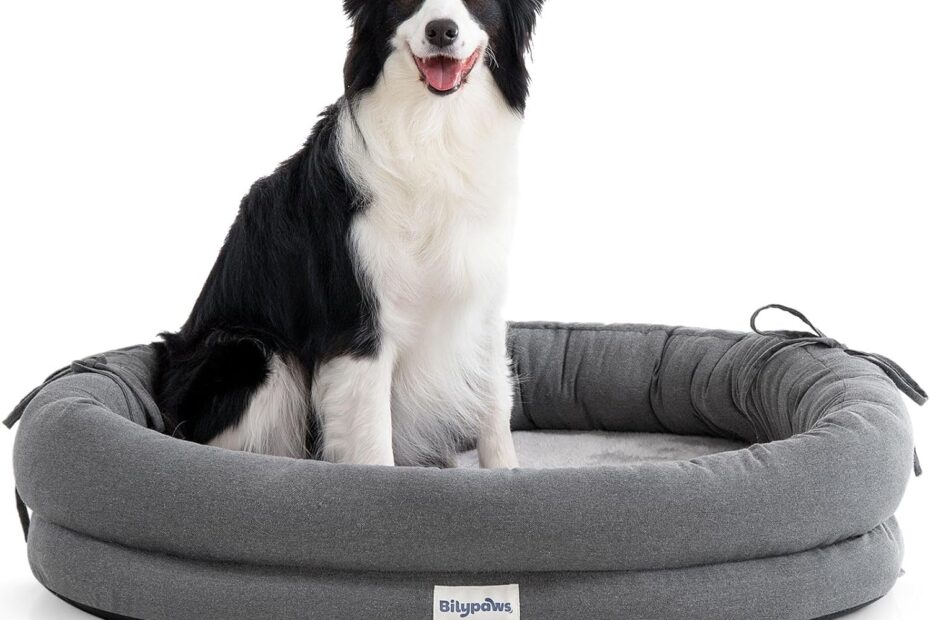 Ultimate Comfort for Your Canine: Review of the Large Orthopedic Dog Bed