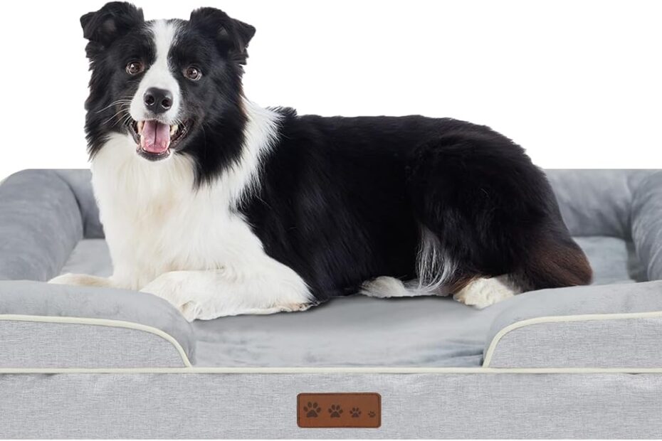 Ultimate Comfort for Your Canine: Review of the Waterproof Memory Foam Orthopedic Dog Bed