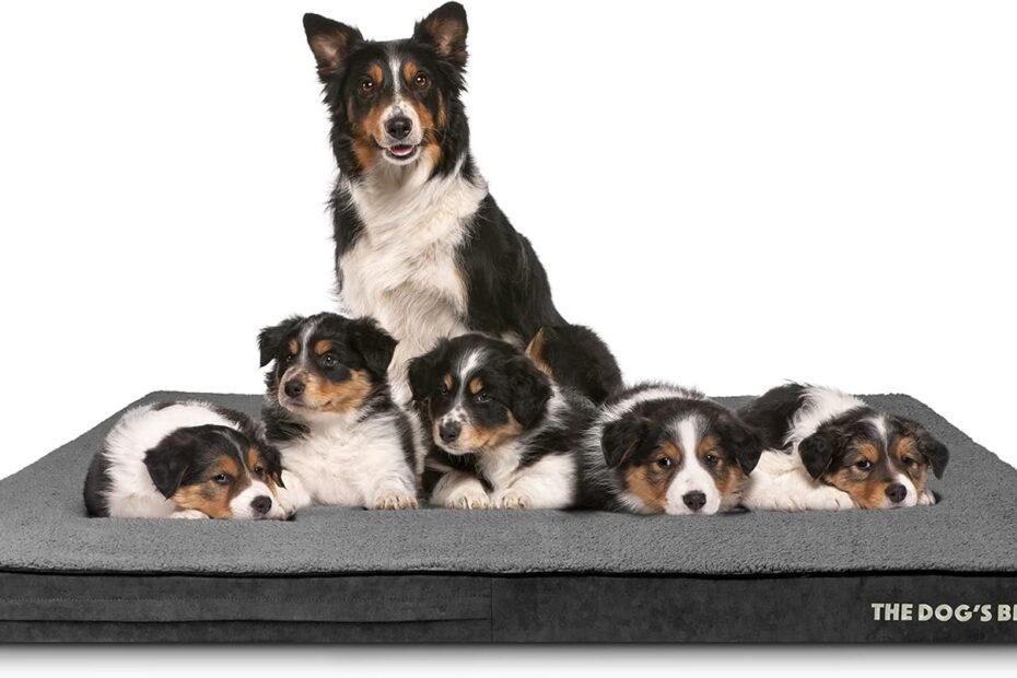 Ultimate Comfort for Your Canine: The Dog's Bed Orthopedic Memory Foam Jumbo Review