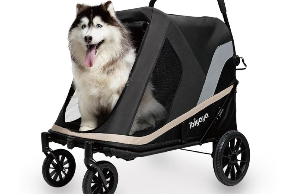 Ultimate Comfort for Your Furry Friend: Ibiyaya Grand Cruiser Dog Stroller Review