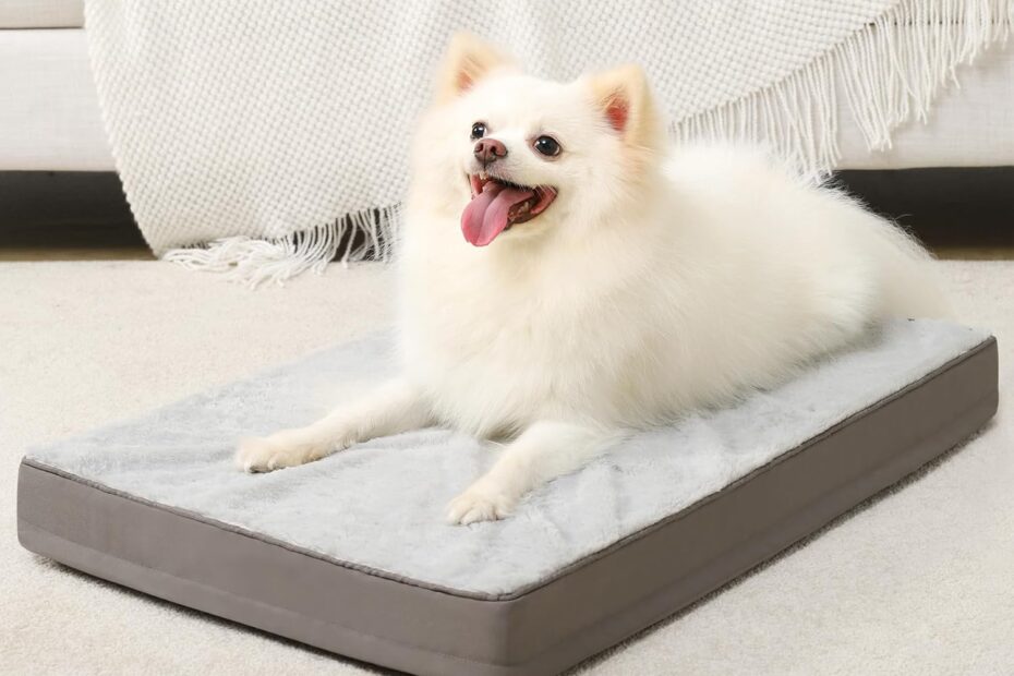 Ultimate Comfort for Your Furry Friend: KSIIA Orthopedic Dog Bed Review
