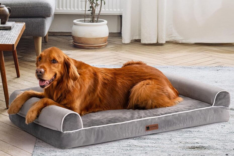 Ultimate Comfort for Your Furry Friend: MEWOOFUN Orthopedic Large Dog Bed Review