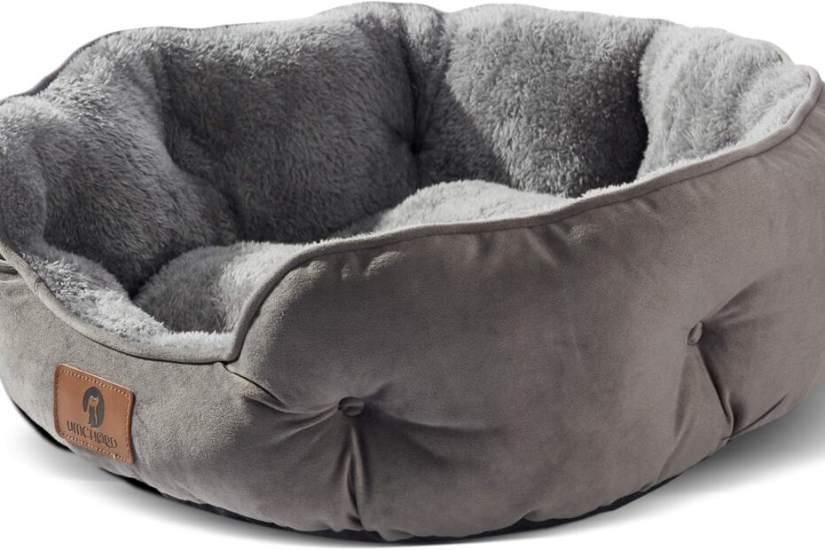 Ultimate Comfort for Your Furry Friend: Review of the Asvin Small Dog Bed