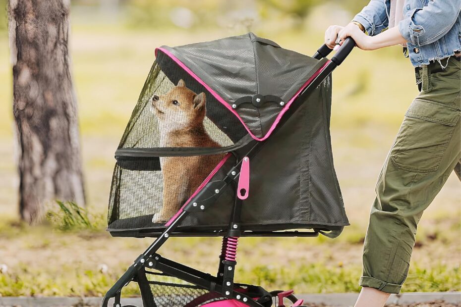 Ultimate Comfort for Your Furry Friends: A Review of the 22” Buddy Buggies Foldable Pet Stroller