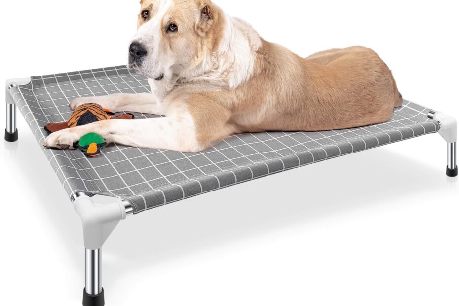 Ultimate Comfort for Your Furry Friends: The Elevated Dog Bed Review
