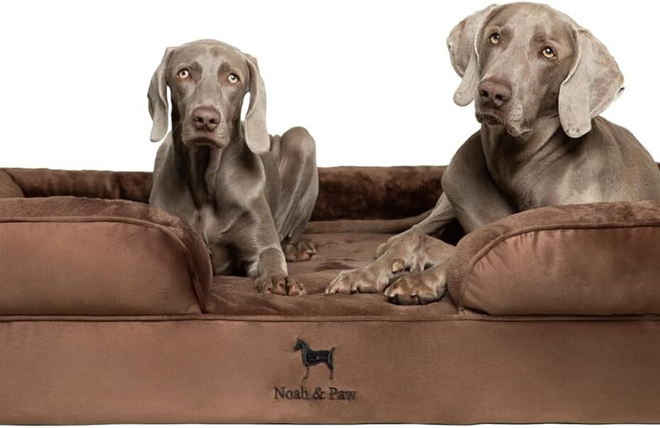 Ultimate Comfort for Your Pooch: NOAH & PAW XXL Orthopedic Dog Bed Review