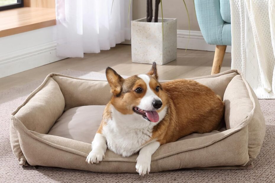 Ultimate Comfort for Your Pooch: Review of the Arlee Crescent Orthopedic Memory Foam Dog Bed