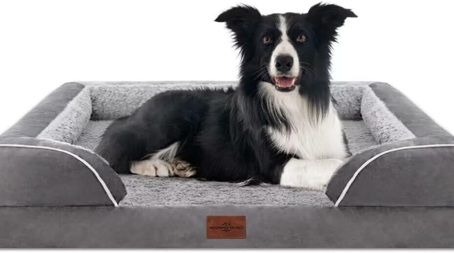 Ultimate Comfort for Your Pooch: The Waterproof Orthopedic Dog Bed Review