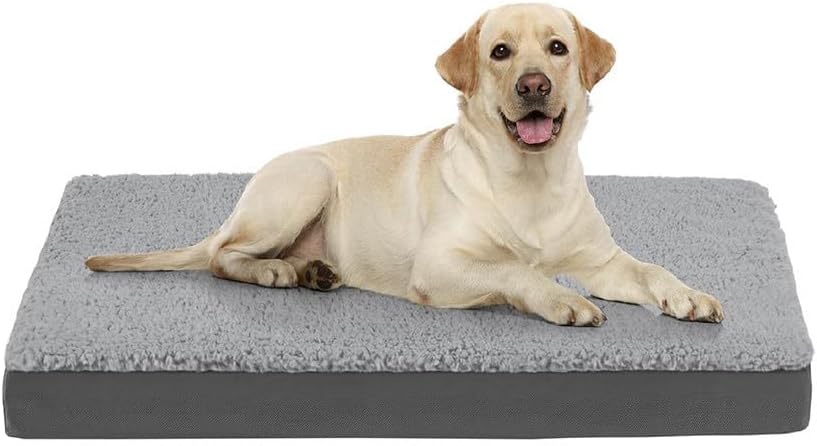 Ultimate Comfort for Your Pup: Friends Forever Orthopedic Cooling Dog Bed Review