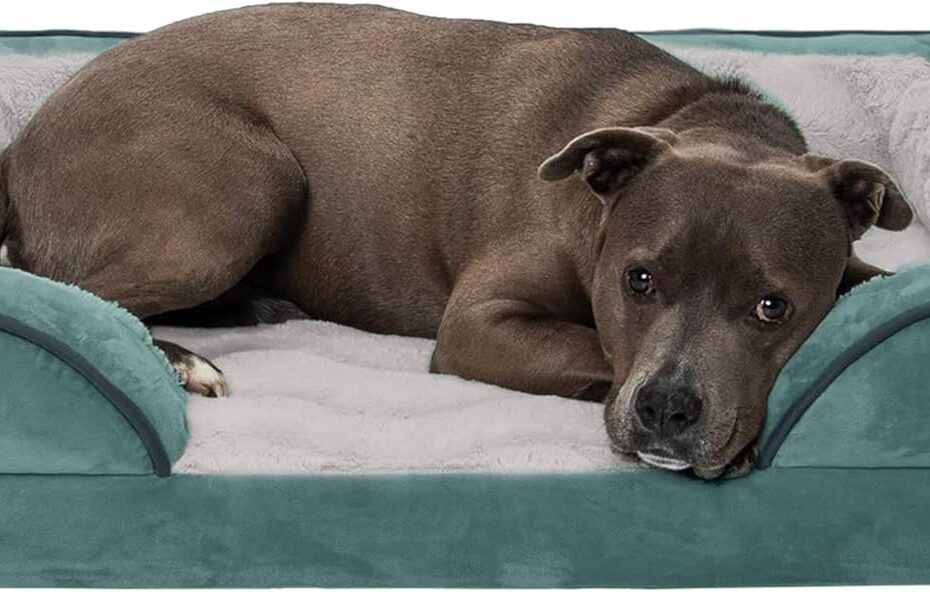 Ultimate Comfort for Your Pup: Furhaven Orthopedic Dog Bed Review