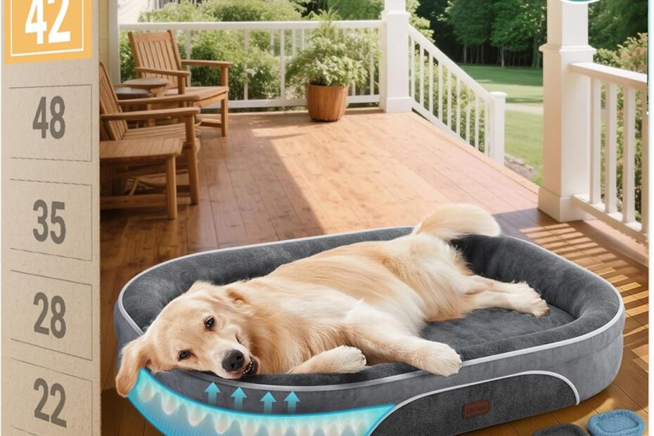 Ultimate Comfort for Your Pup: OhGeni X-Large Orthopedic Dog Couch Review