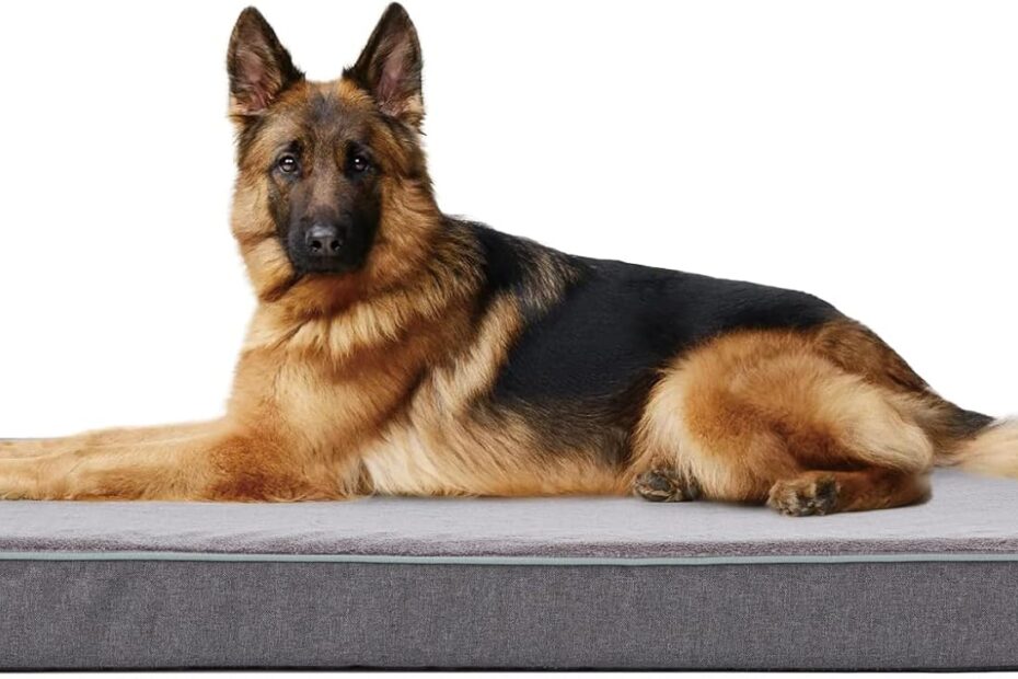 Ultimate Comfort for Your Pup: Review of Extra Large Memory Foam Dog Beds