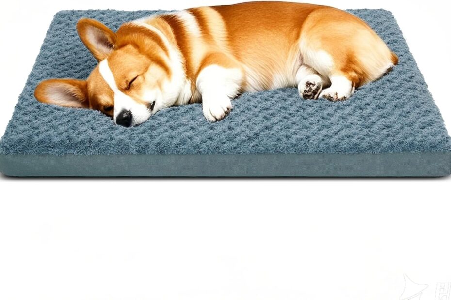Ultimate Comfort for Your Pup: Review of Orthopedic Dog Beds with Washable Covers