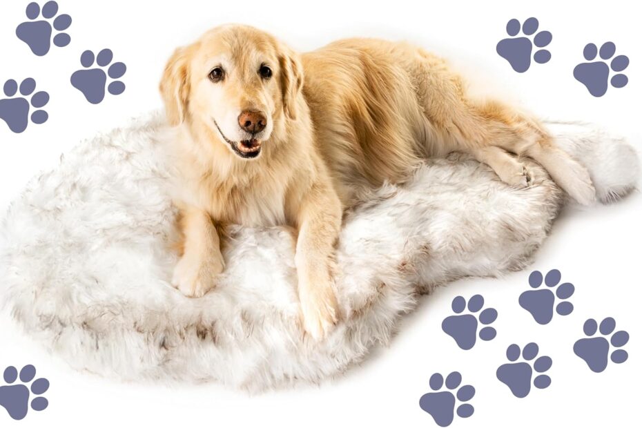Ultimate Comfort for Your Pup: Review of the PupRug Orthopedic Dog Bed