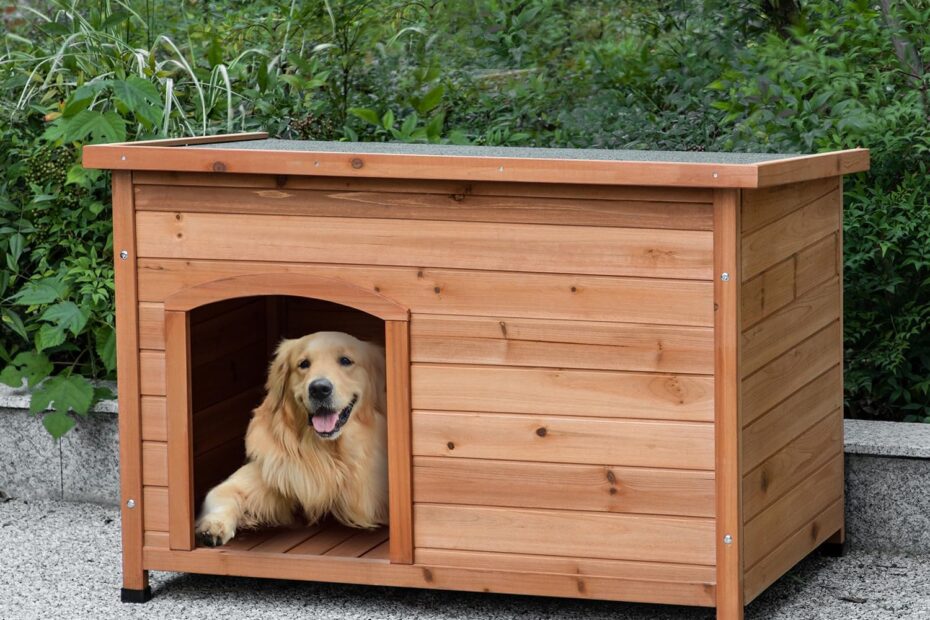 Ultimate Comfort for Your Pup: Review of the TAKUKA Outdoor Wooden Dog House
