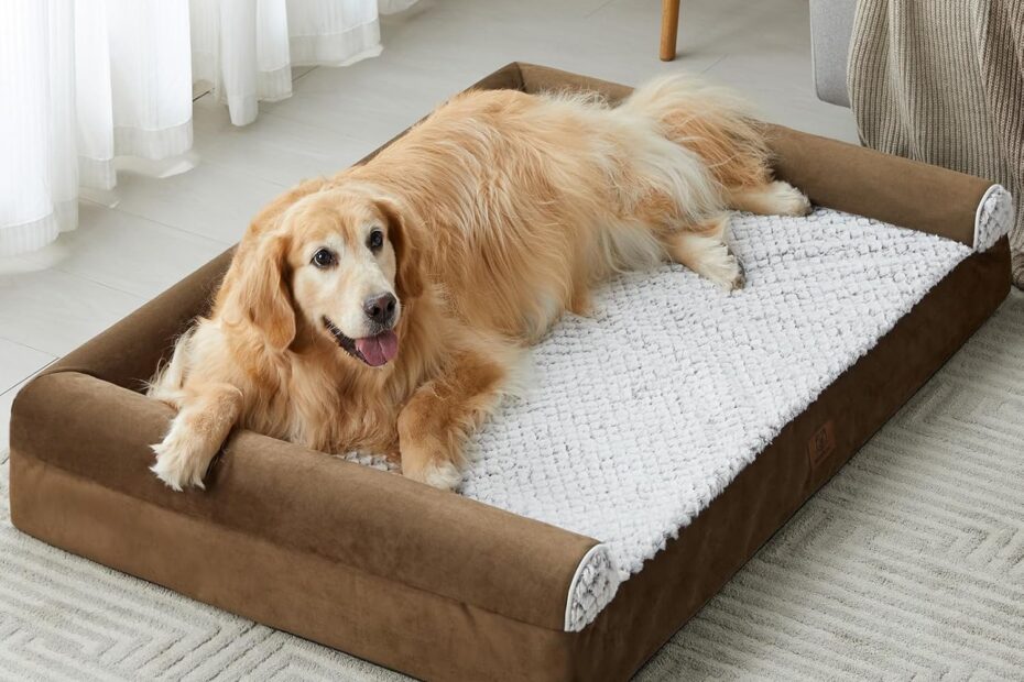 Ultimate Comfort for Your Pup: Review of Waterproof Orthopedic Dog Beds for Large Dogs