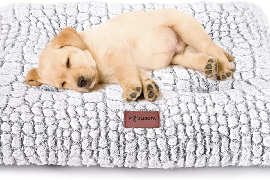 Ultimate Comfort for Your Pup: ULIGOTA Plush Dog Bed Review