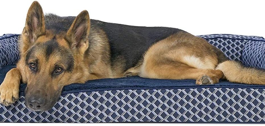 Ultimate Comfort: Furhaven Orthopedic Dog Bed Review for Large Breeds