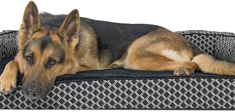 Ultimate Comfort: Furhaven Orthopedic Dog Bed Review for Large Dogs