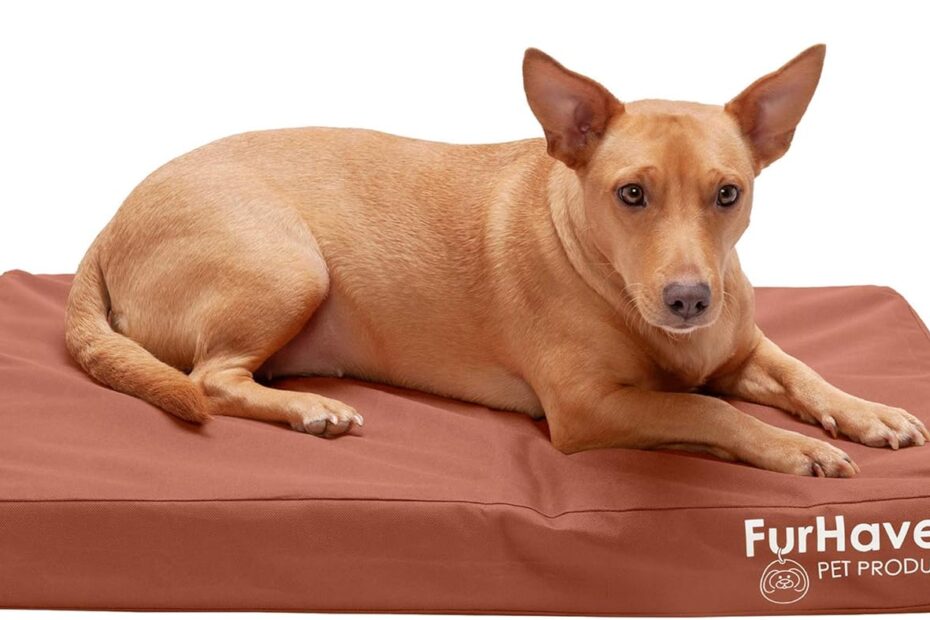 Ultimate Comfort: Furhaven Water-Resistant Orthopedic Dog Bed Review