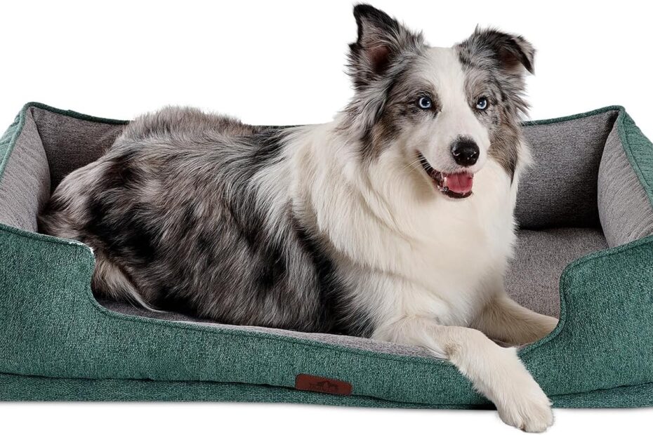 Ultimate Comfort: Hollypet Orthopedic Dog Bed Review for Large Dogs