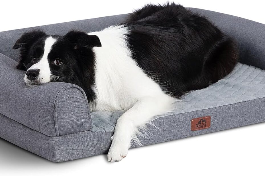 Ultimate Comfort: Hollypet Orthopedic Dog Bed Review for Large Pooches