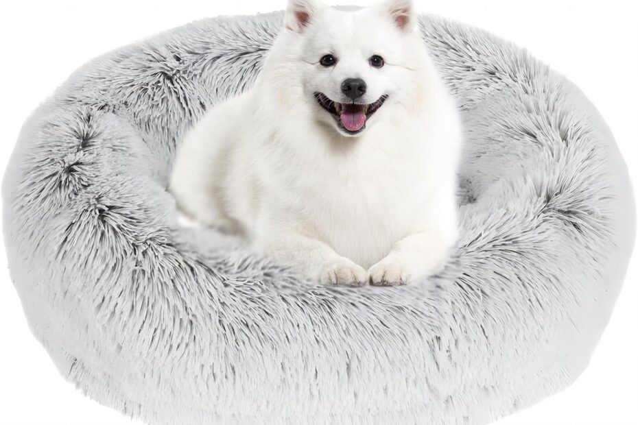Ultimate Comfort: JOLLYVOGUE Calming Dog Bed Review for Anxious Pups