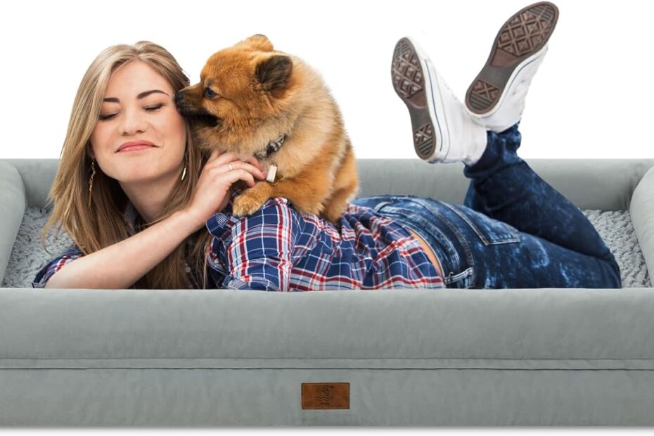 Ultimate Comfort: Jumbo Orthopedic Dog Bed Review for Large Pups