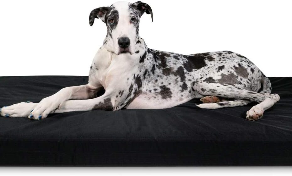 Ultimate Comfort: K9 Ballistics Tough Orthopedic Dog Bed Review