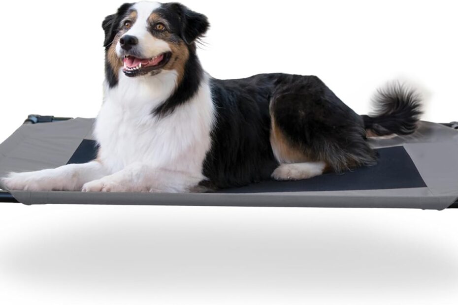 Ultimate Comfort: K&H Elevated Dog Cot Review for Large Breeds