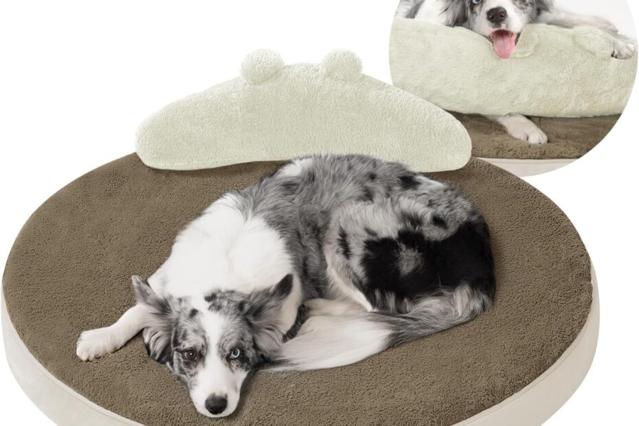 Ultimate Comfort: Large Orthopedic Dog Bed Review for Your Furry Family Member!