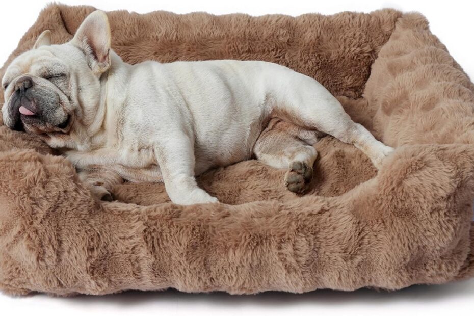 Ultimate Comfort: Lesure Fluffy Dog Bed Review for Medium Dogs
