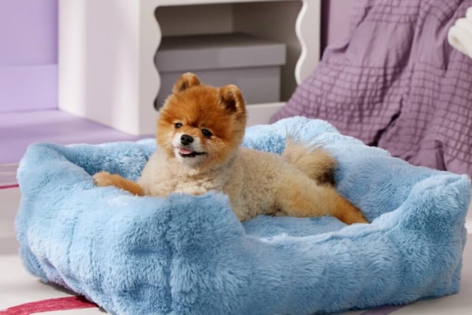 Ultimate Comfort: Lesure Fluffy Dog Beds for Cozy, Happy Pups