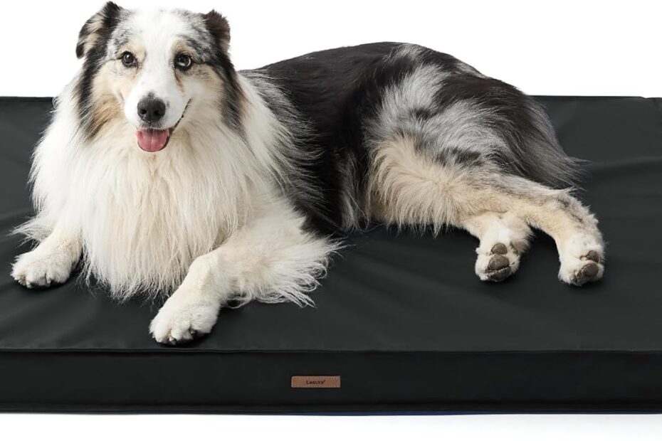 Ultimate Comfort: Lesure Waterproof Dog Bed Review for Large Breeds