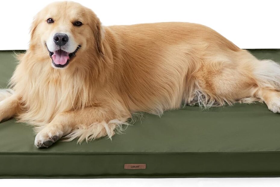 Ultimate Comfort: Lesure Waterproof Dog Bed Review for XL Pooches!