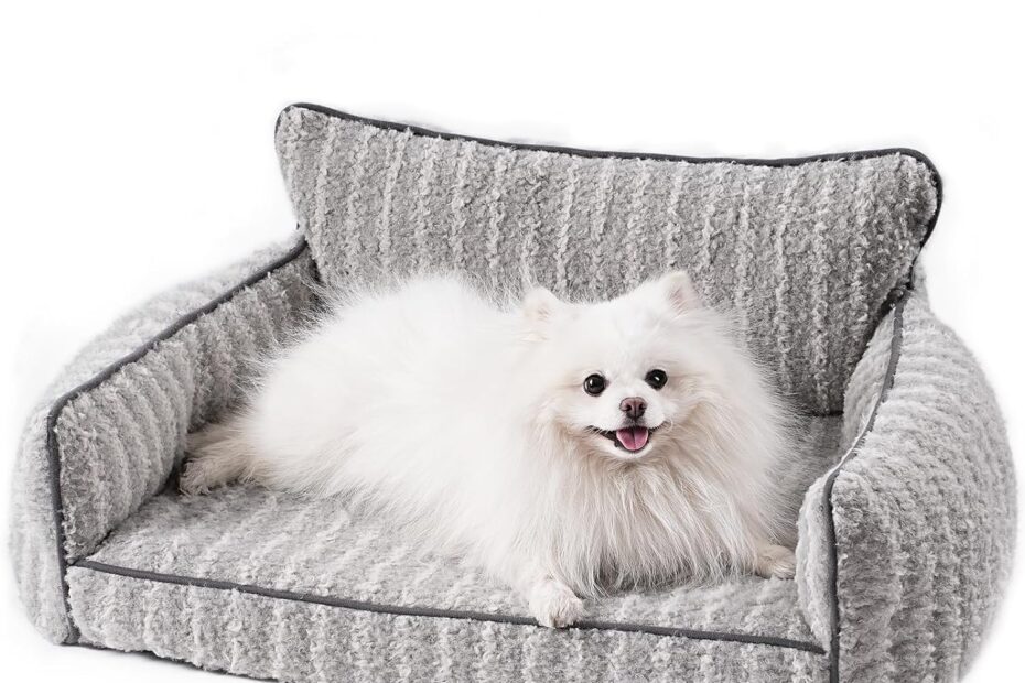 Ultimate Comfort: Mewoo Cat Couch Bed Review for Small & Medium Dogs