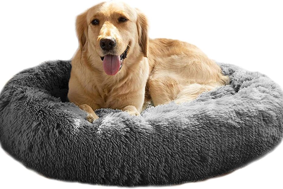 Ultimate Comfort: MFOX Calming Dog Bed Review for Your Furry Friends