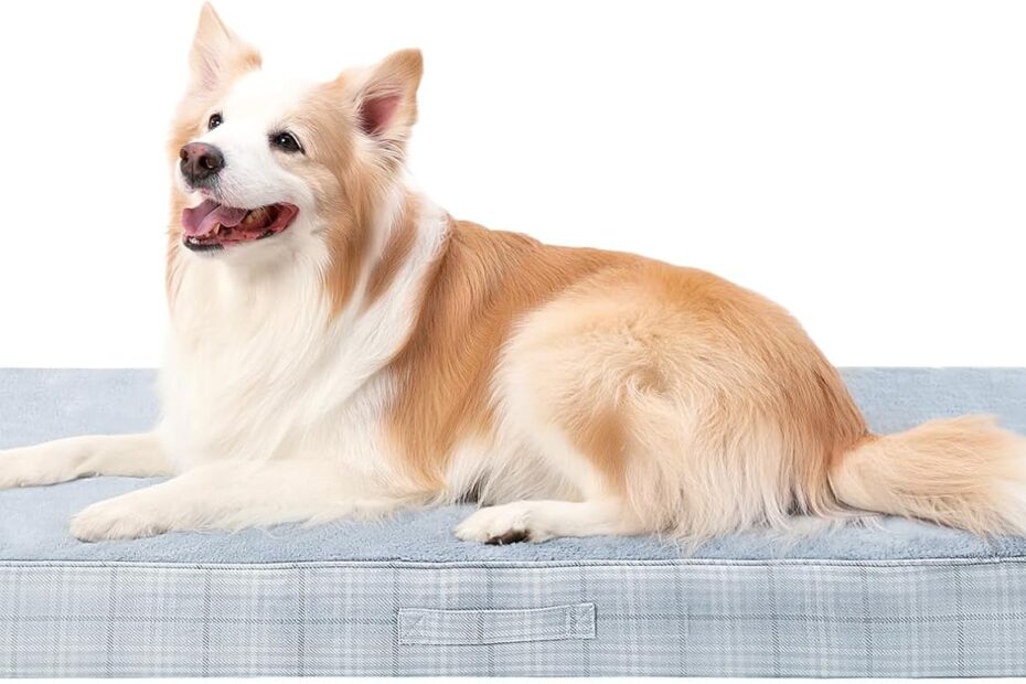 Ultimate Comfort: MIHIKK Orthopedic Dog Bed Review for Large Dogs