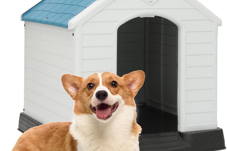 Ultimate Comfort: MoNiBloom Insulated Dog House Review for Every Pup!