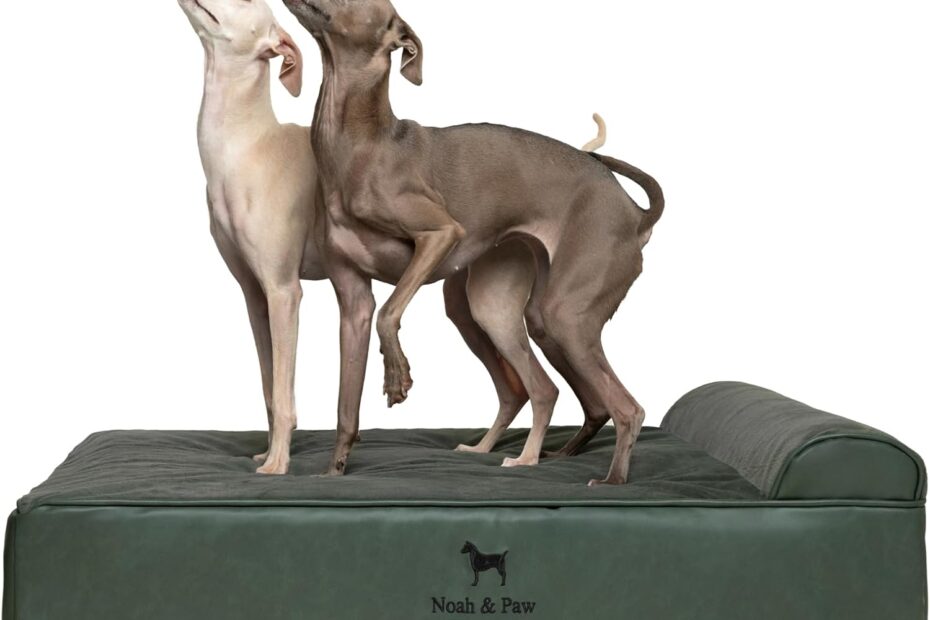 Ultimate Comfort: NOAH & PAW Orthopedic Dog Bed Review