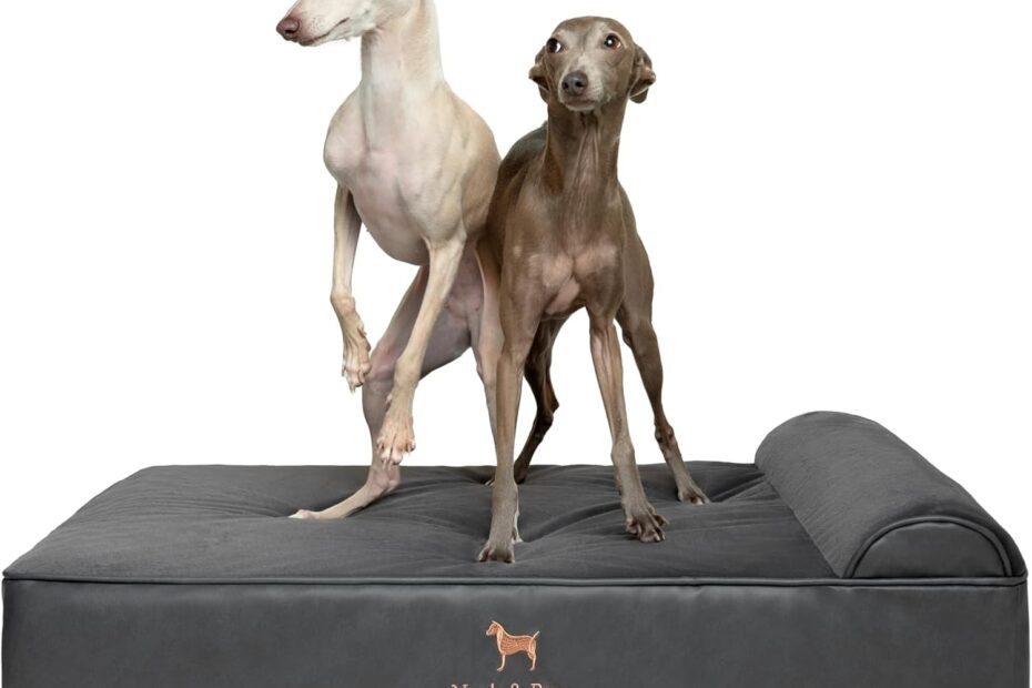 Ultimate Comfort: NOAH & PAW Orthopedic Dog Bed Review