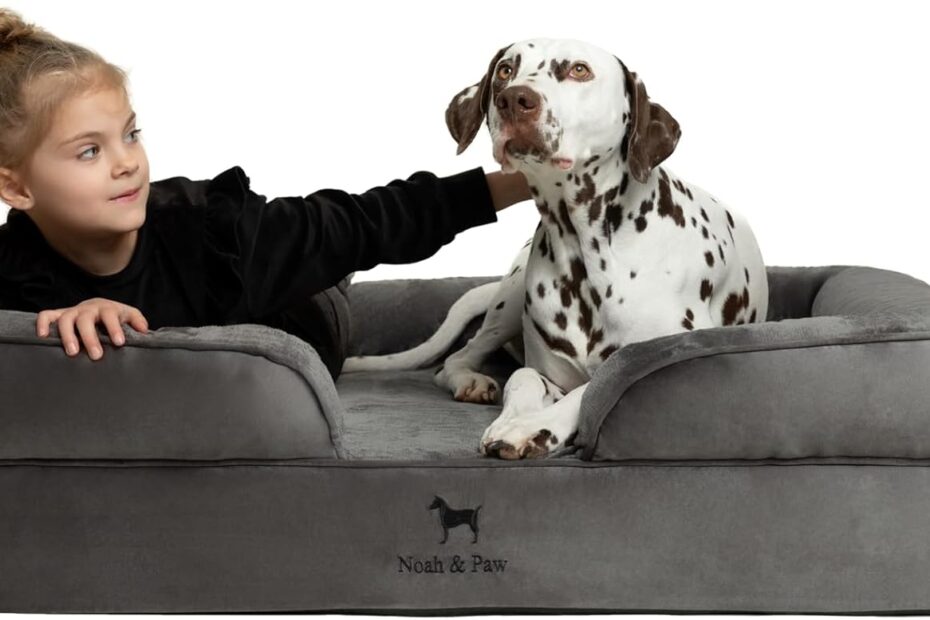 Ultimate Comfort: NOAH & PAW XXL Orthopedic Dog Bed Review